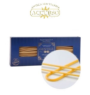 Spaghettone Spaghettone